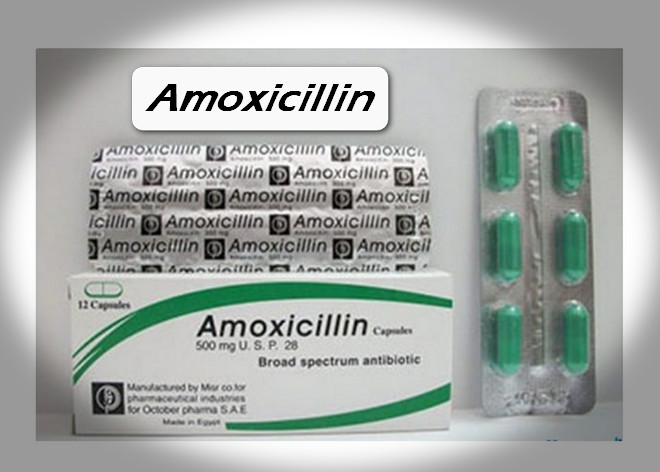 أموكسيسيللين كبسولات مضاد حيوي لعلاج العدوى البكتيرية دواعي الاستعمال والآثار الجانبية
